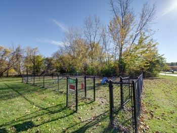 New dog park